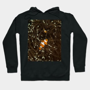 Clownfish on a White-Tipped Anemone Hoodie